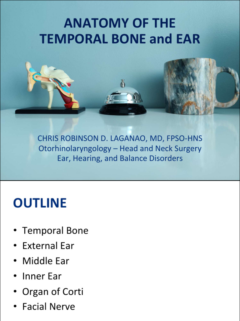 Anatomy of the Temporal Bone and Ear | PDF | Ear | Vestibular System