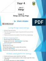 Unit 2 - Lesson 4 - Year 4 - Energy and Living Things