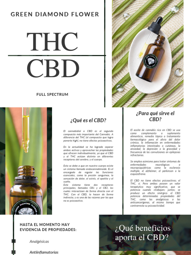 Guía de CBD y THC para la Salud | PDF | Tetrahidrocannabinol | Cannabis ...