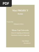 Mini Project Sample Module