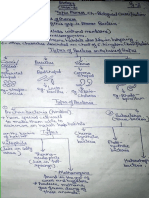 Notes of Bio Class Ximonera, Protista and Fungi