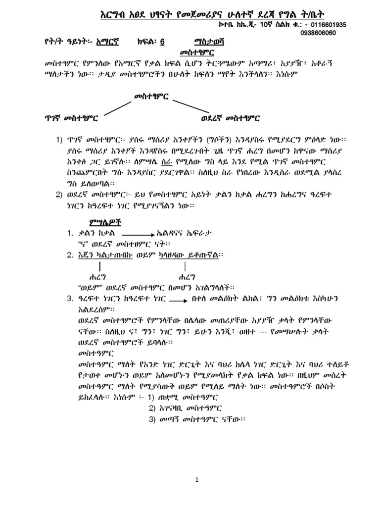 grade 6 math in amharic