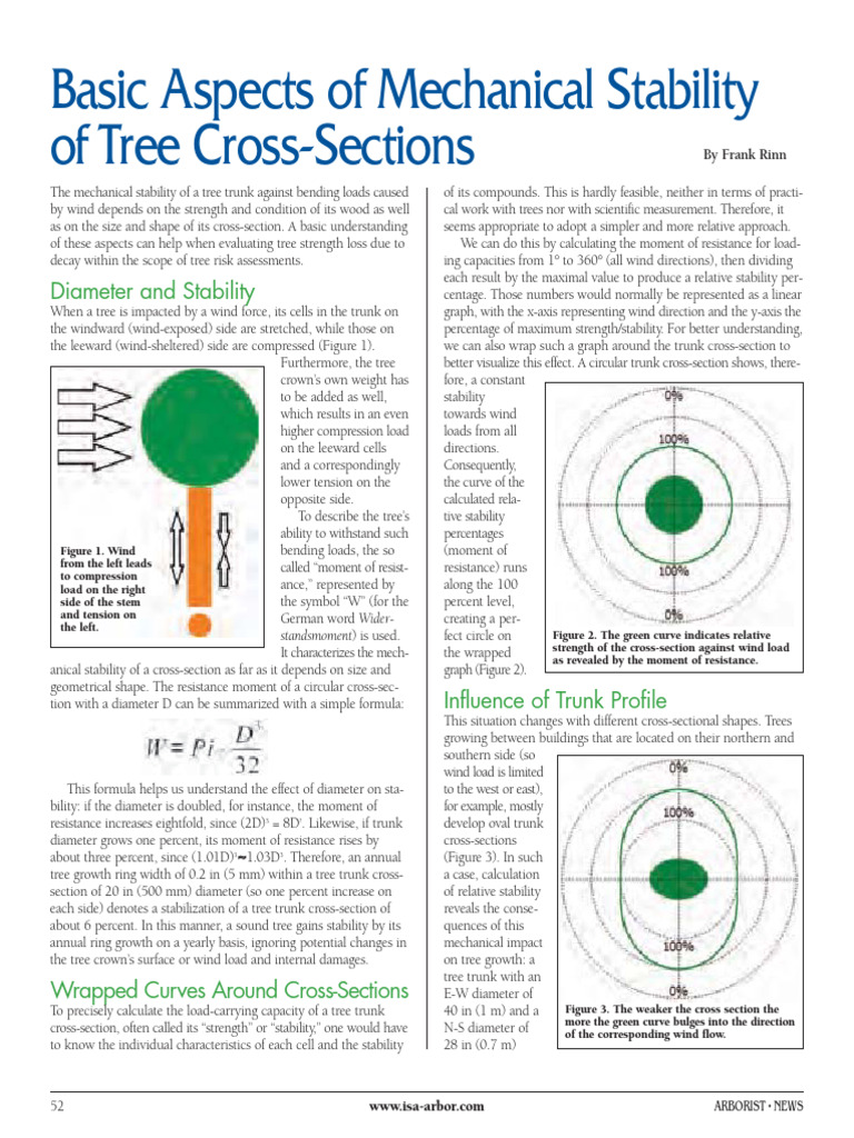 Aspects of Mechanical Stability | PDF | Bending | Wood