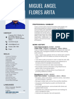 CV - 4 Miguel Angel Flores Arita Updated