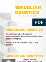 Xs7j3jd33 Mendelian Genetics