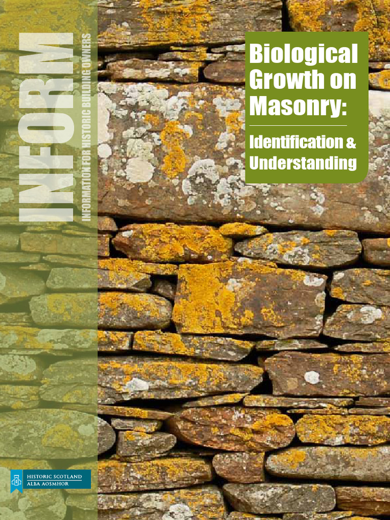 Biological Growth Masonry | PDF | Fungus | Algae