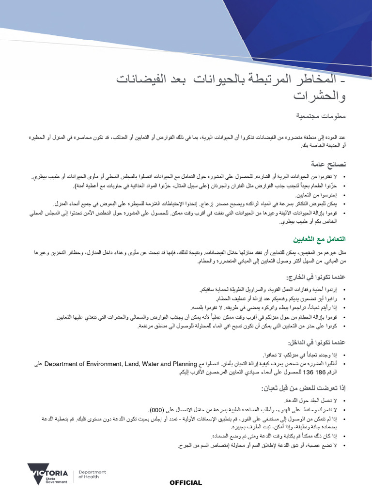 Tick Insect In Arabic