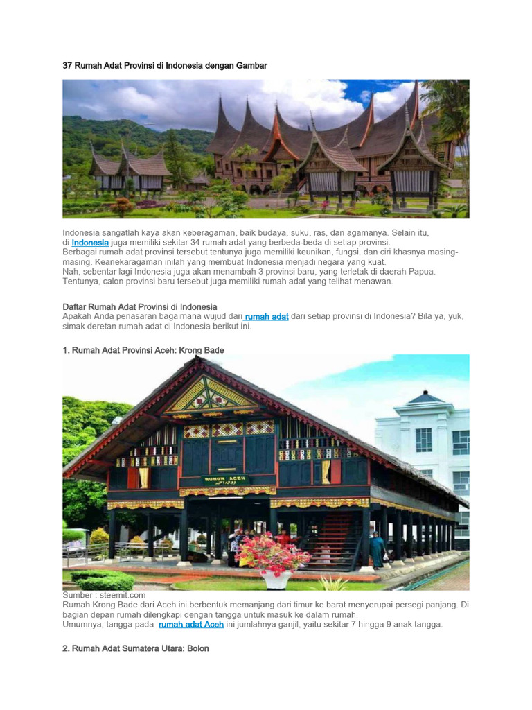 37 Rumah Adat Provinsi Di Indonesia Dengan Gambar | PDF