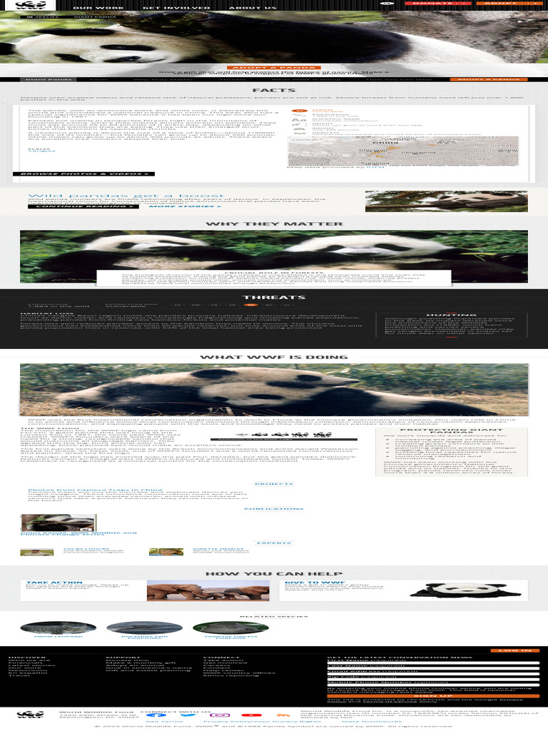 Giant Panda Conservation Overview | PDF | Giant Panda | World Wide Fund ...