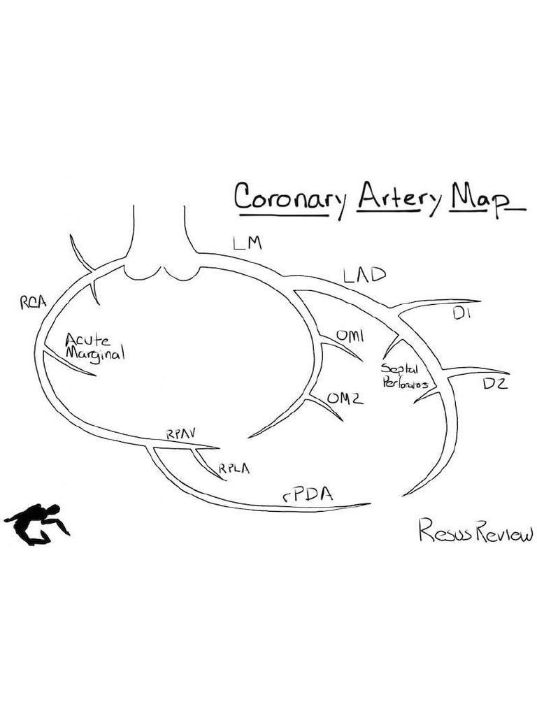 Coronary Artery Diagram2 | PDF