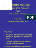 Patho1 - CDSA-Cell Adaptation and Injury