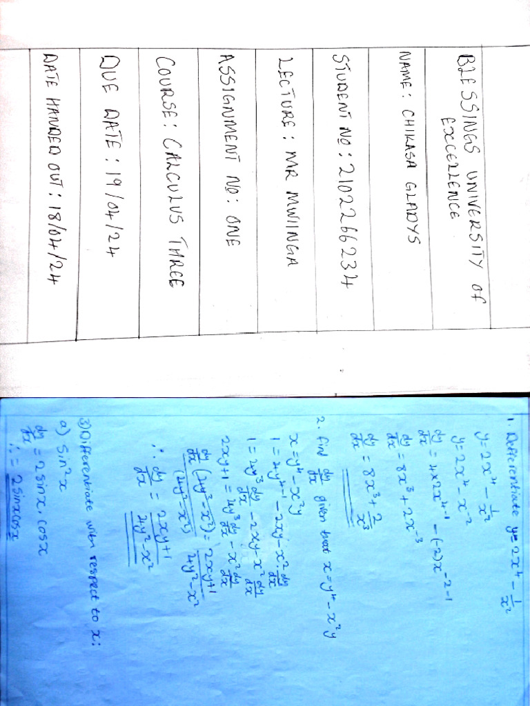 Calculus 3, Assignment 1 | PDF