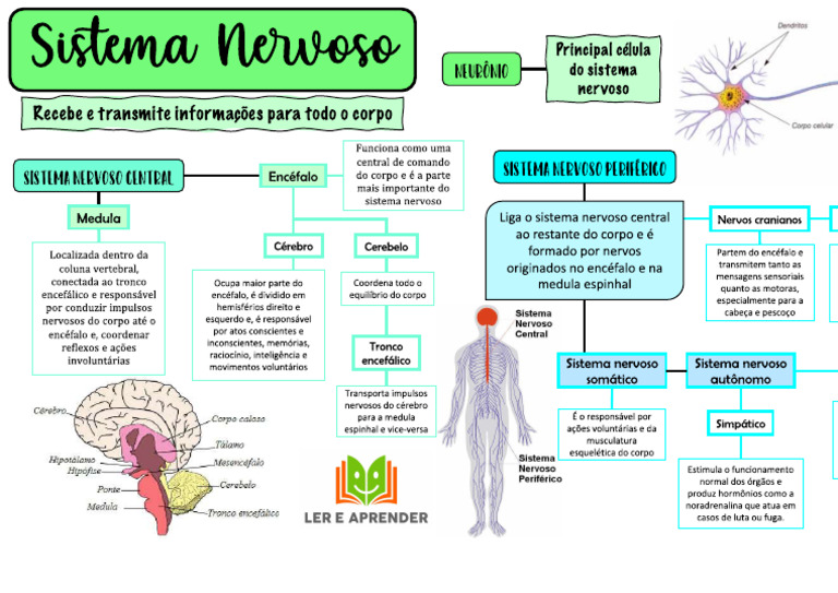 SNC SNP Mapa Mental | PDF