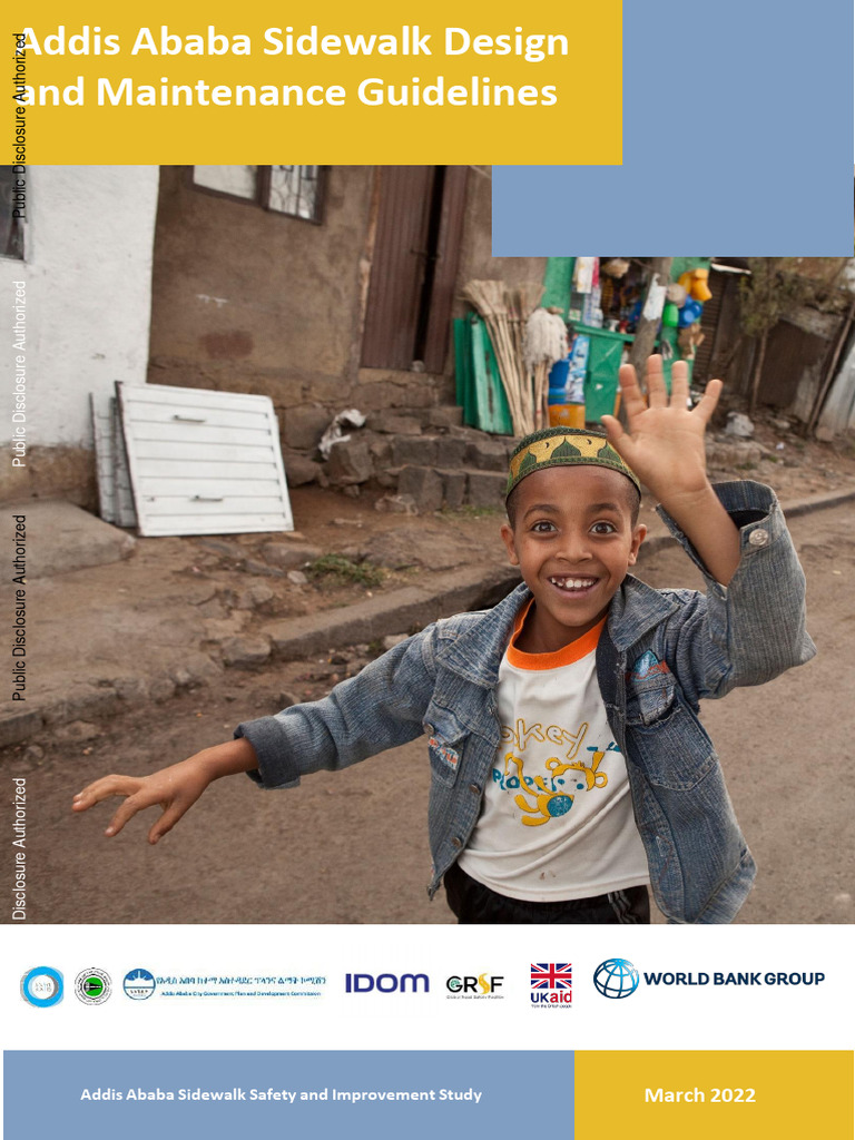 ADDIS ABABA GUIDELINES intelligence overview