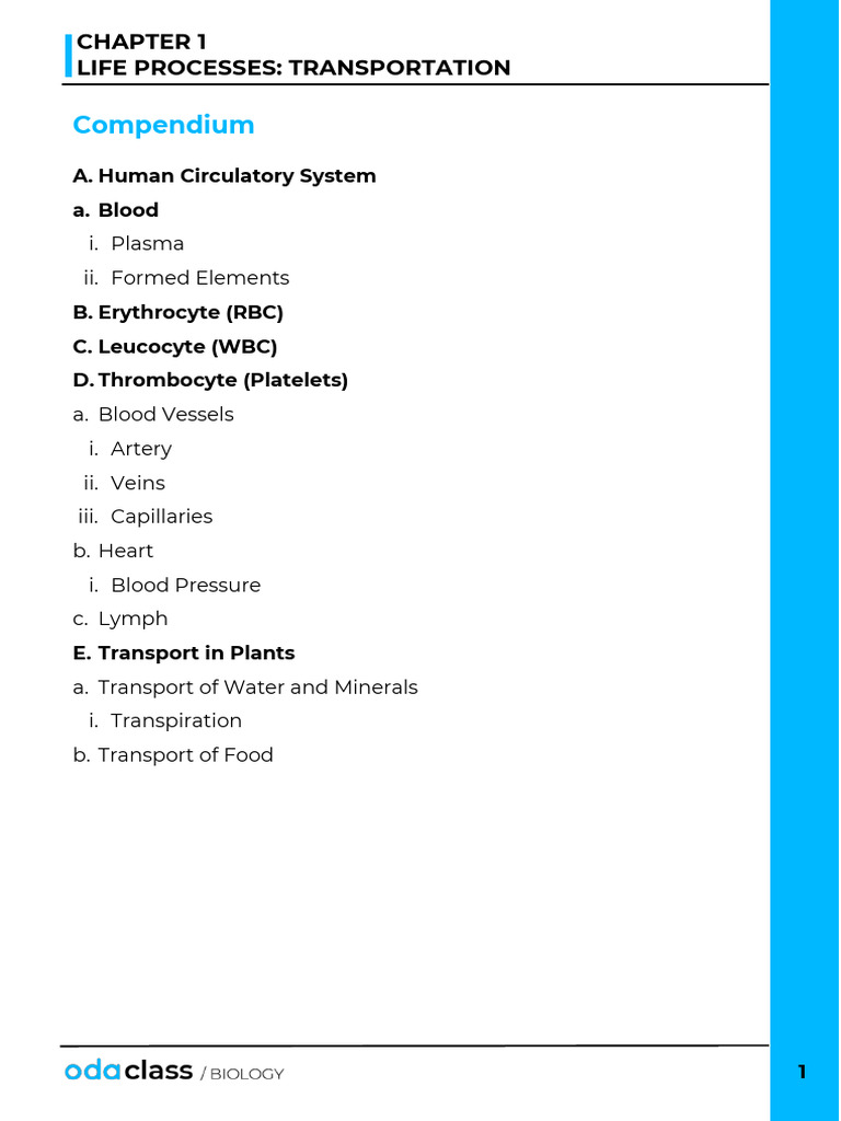 Compendium: Life Processes: Transportation | PDF | Atrium (Heart) | Heart