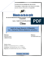 Audit Du Risque Financier d’Illiquidité.