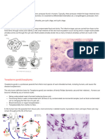 Protozoans