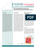 003en NanoTrust Dossier