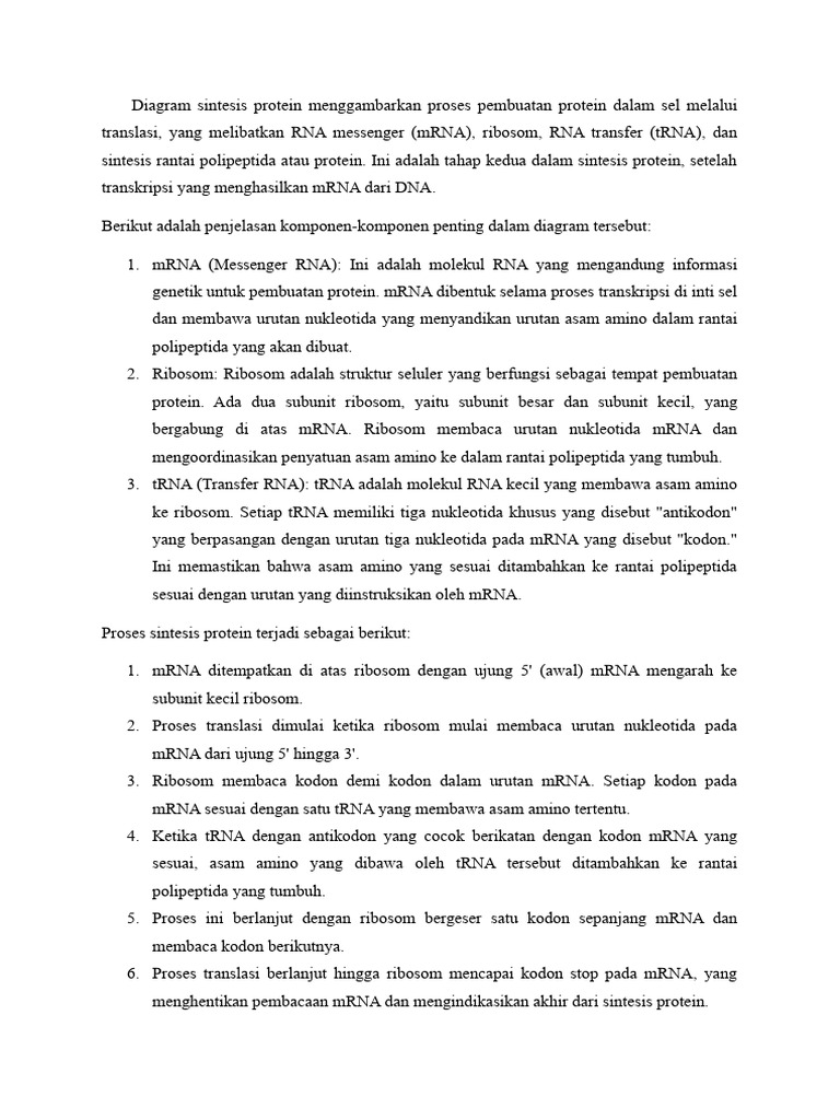 Diagram Proses Sintesis Protein | PDF | Sains & Matematika | Teknologi ...