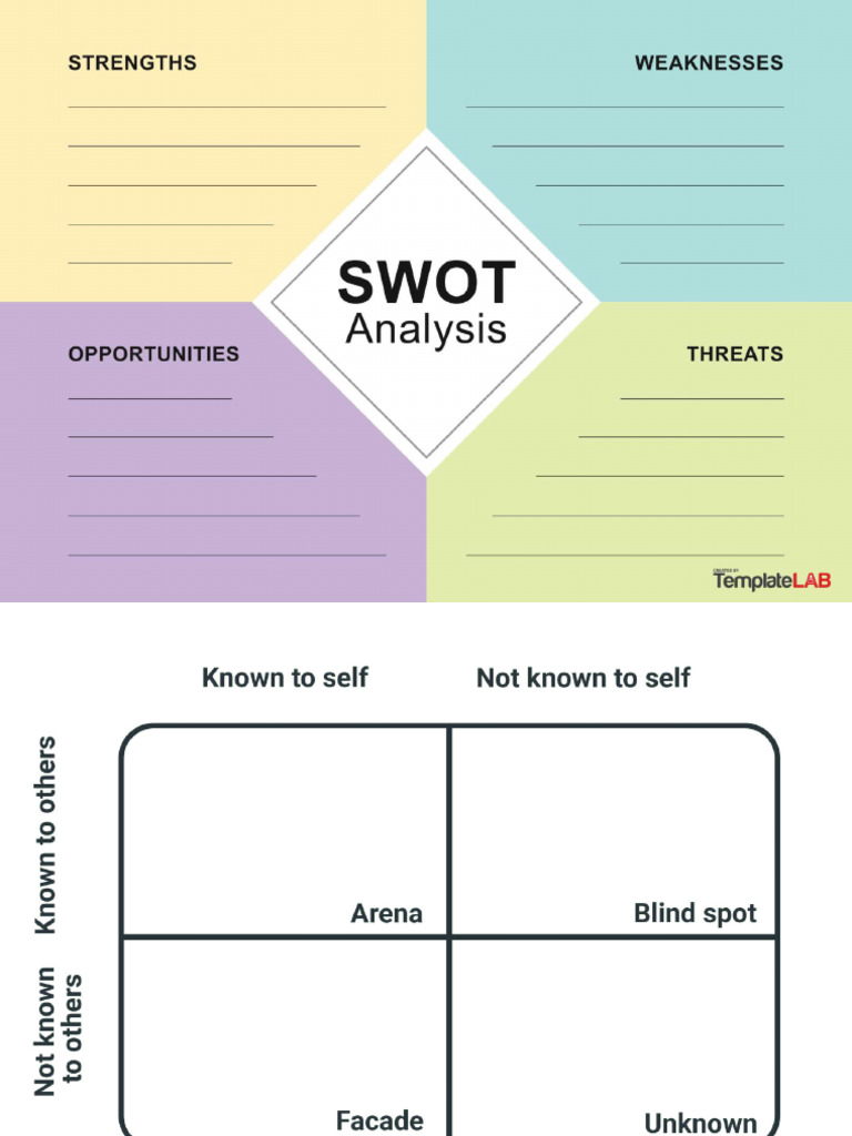 Johari Window and SWOT Analysis Assignment | PDF