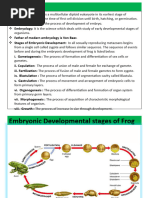 Gametogenesis in Frog