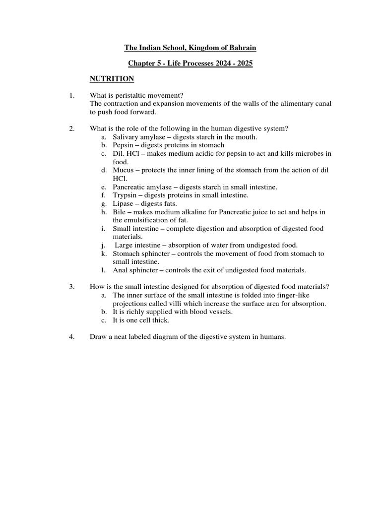 Life Processes Notes | PDF | Atrium (Heart) | Blood