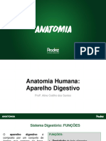 Slide - Aula 06 - Anatomia Humana - Aparelho Digestivo 1