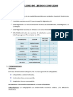 Metabolismo de Lipidos Complejos