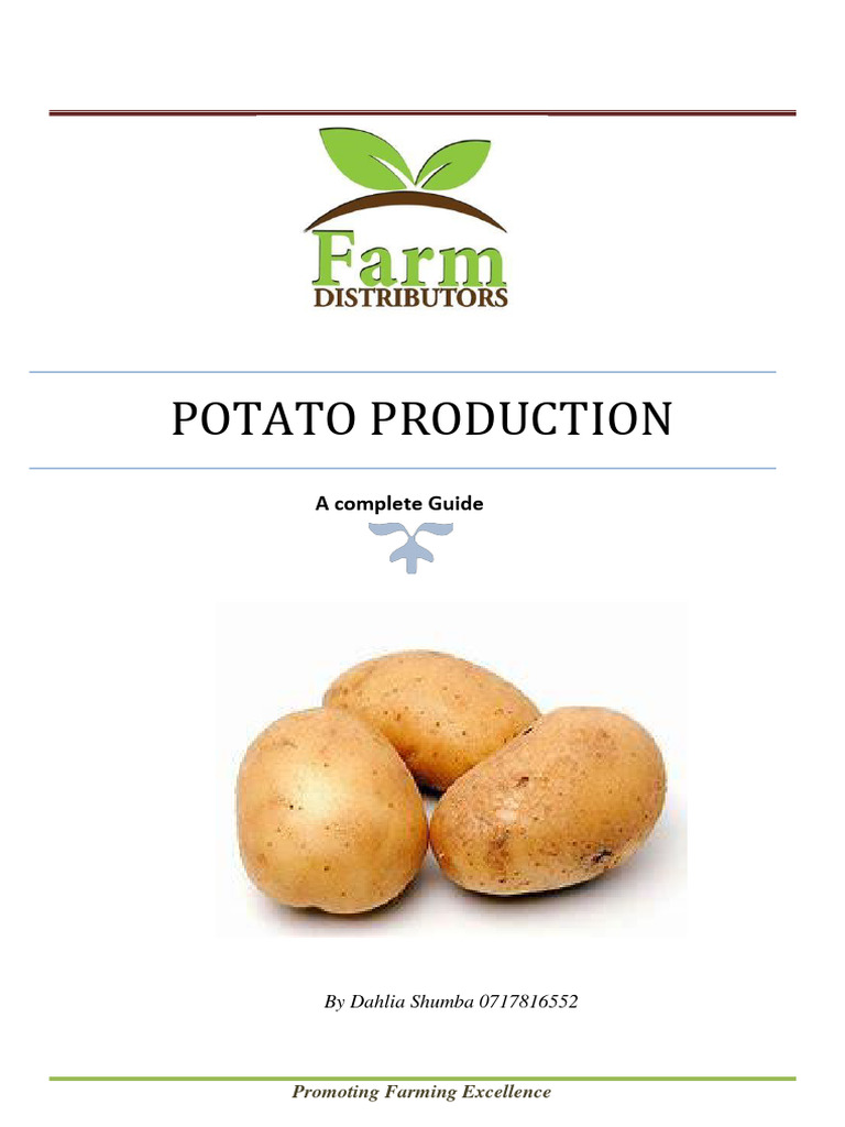 Comprehensive Potato Production Guide | PDF | Potato | Fertilizer