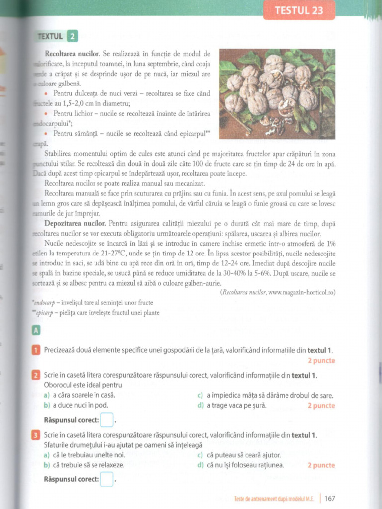 Test 23 - 2 | PDF