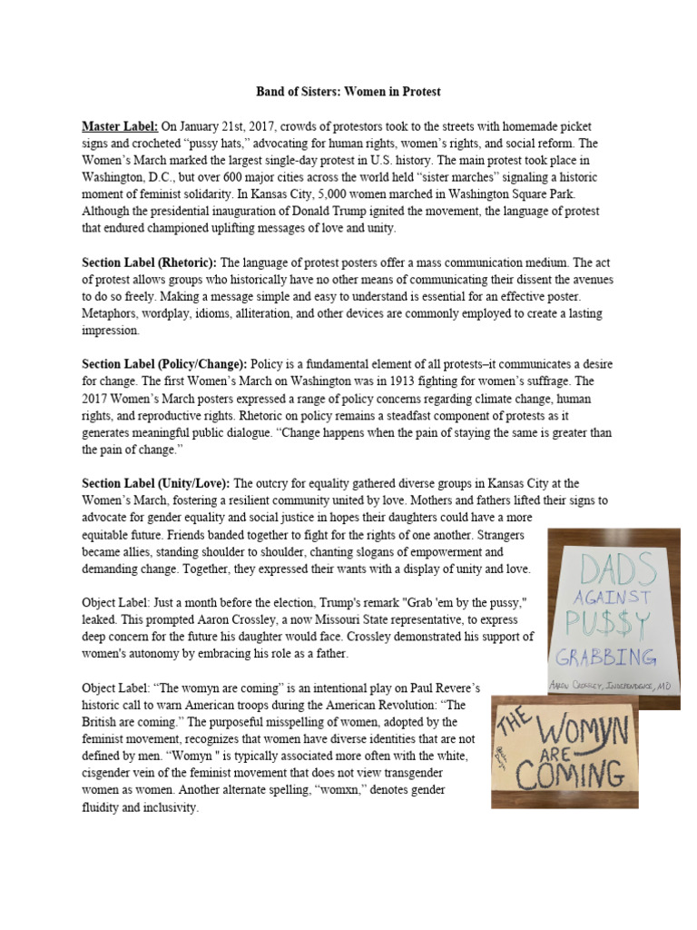 Women’s March: Unity and Protest Rhetoric | PDF | Donald Trump ...