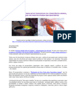 Declaração de NY sobre Consciência Animal - 19.04.24