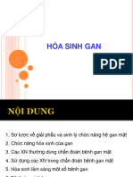Hoa Sinh Gan - Ôn NT 2022
