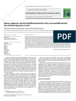 15.fat Cells Into Myocites