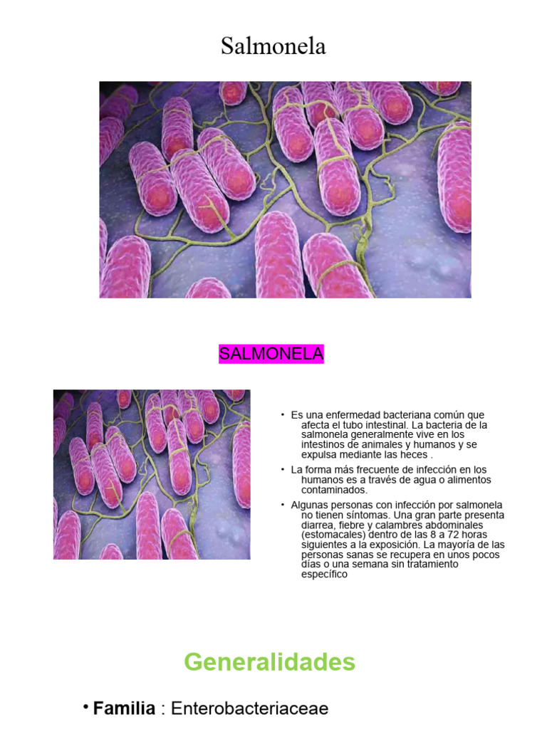 Salmonela | PDF