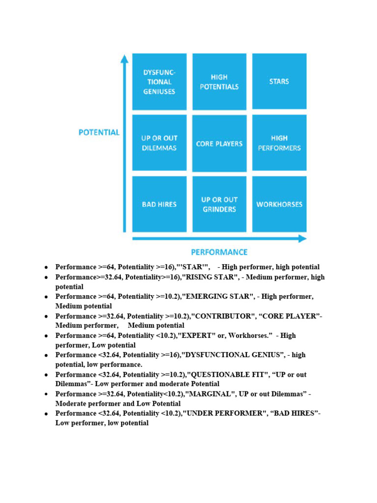 The 9 Box Grid | PDF