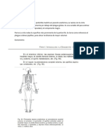 Medidas antropometricas