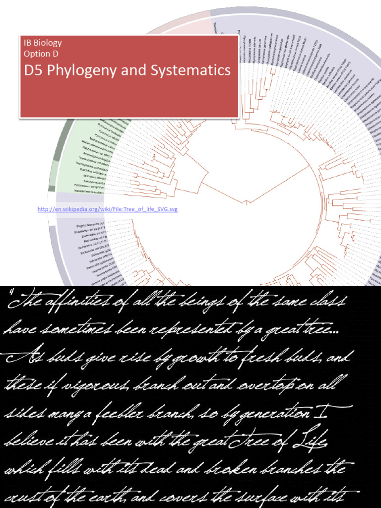 Phylogeny and Systematics Overview | PDF | Taxonomy (Biology) | Proteins