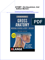 Download pdf Gross Anatomy The Big Picture 2Nd Edition Morton ebook full chapter 