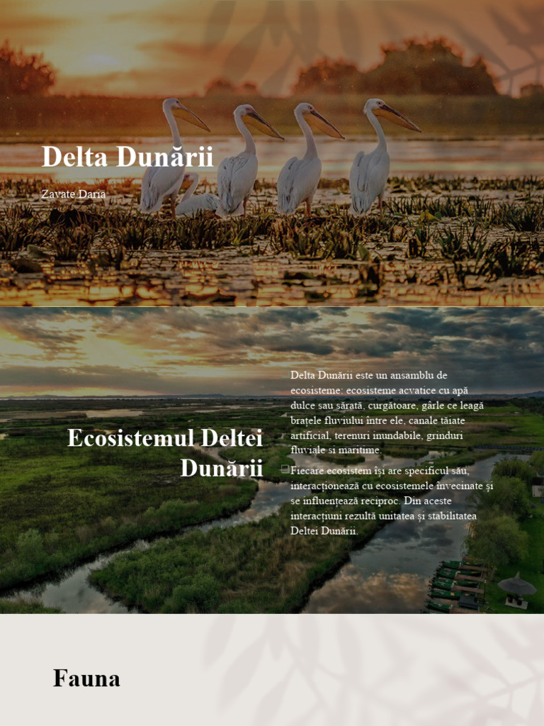 Delta | PDF