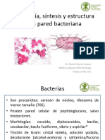Tema 3 Morfología Bacteriana