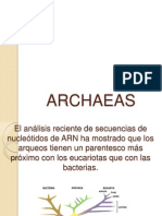 ARCHAEAS