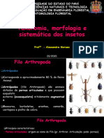 2. Taxonomia, Morfologia e Sistemática de Insetos