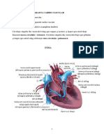 APARATUL CARDIO-VASCULAR.docx