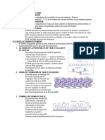 Document Sense Títol