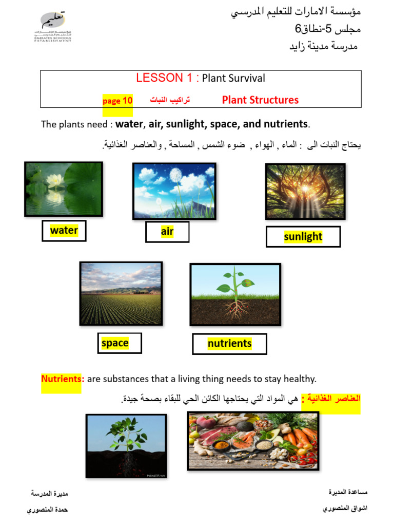 Plant Needs and Ecosystem Roles | PDF | Evaporation | Water Vapor