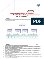 Debitareametalelorsialiajelor Testdeevaluare