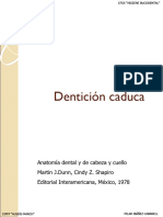 PPT-Morfologia Dentición caduca