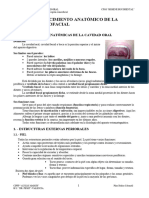 U.D.2.- Reconocimiento anatómico de la región craneofacial