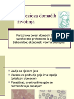 Vet-Teh Parazitologija Babezioza Domacih Zivotinja 3-Raz